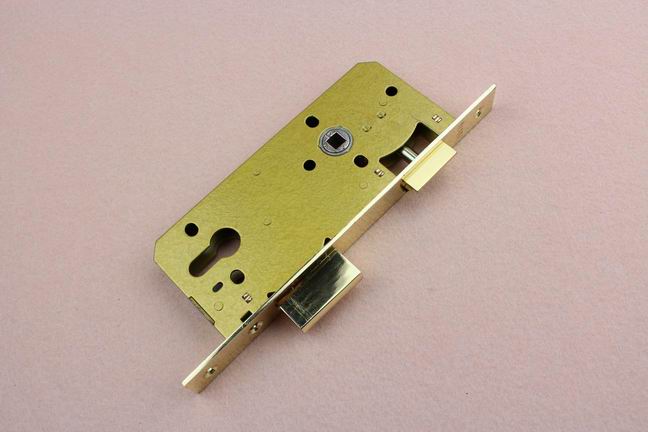 What are the characteristics of the passage latch lock body？