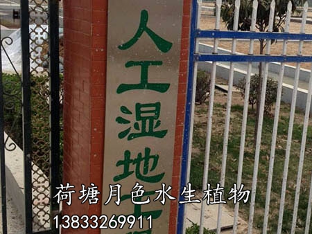 河南三和濕地施工圖