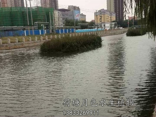 盤錦市螃蟹溝人工浮島工程